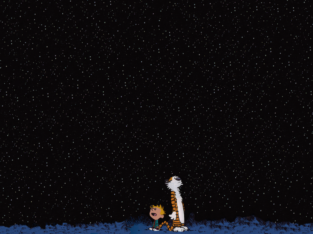 Calvin and Hobbes against the stars Desktop wallpapers 1024x768