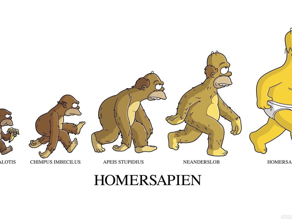 Эволюция Гомерсапиенса, мультфильм