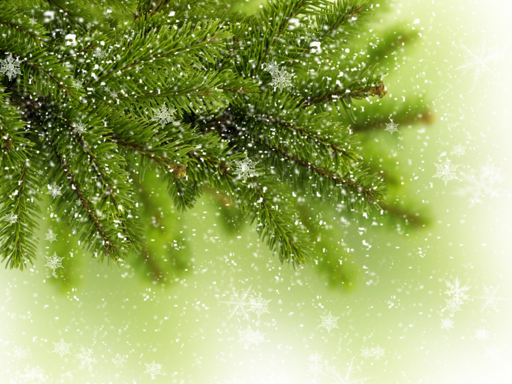 Снежинки на ветке елки