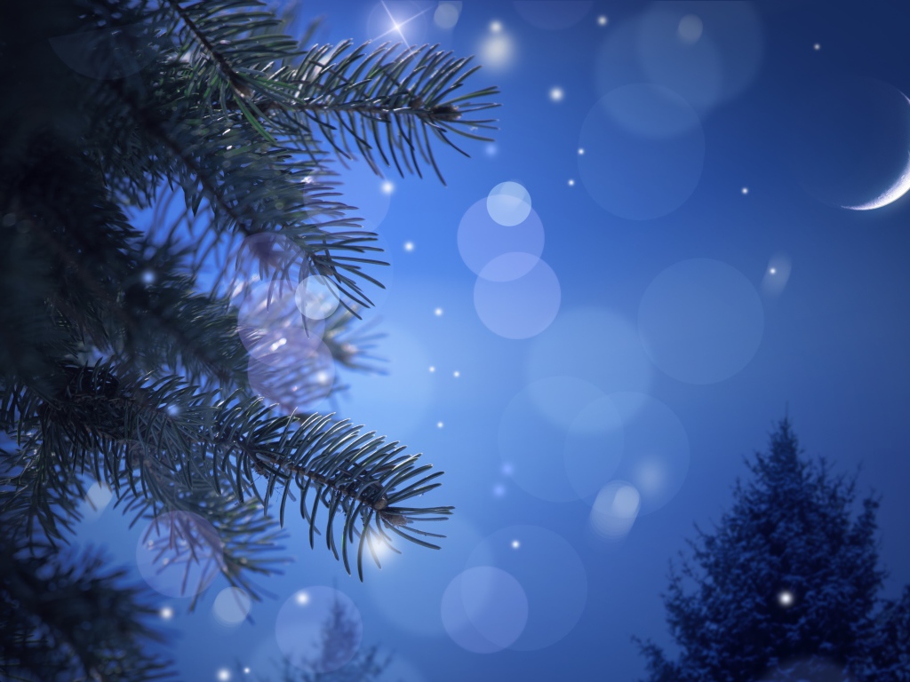 Новогодняя лунная ночь