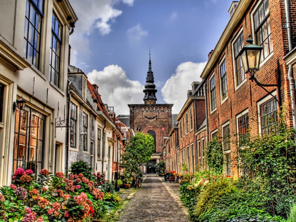 Цветущая узкая улица