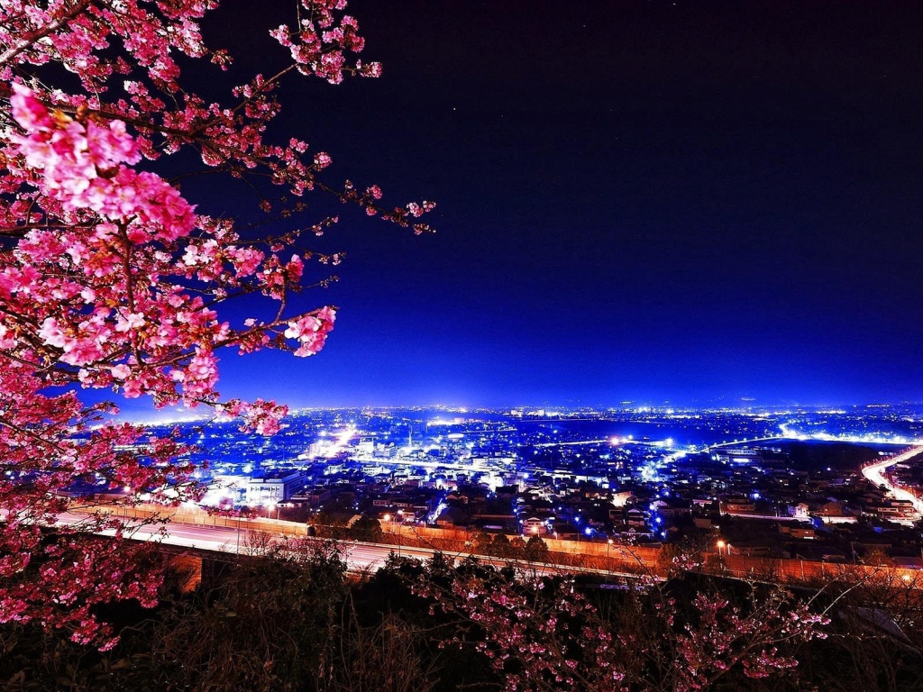 Цветущая сакура на фоне ночного города