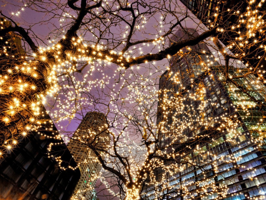 Предновогодний Чикаго США