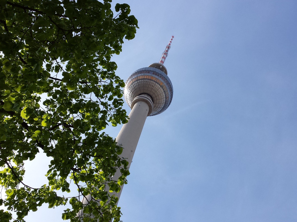 Дерево на фоне телебашни в Берлине