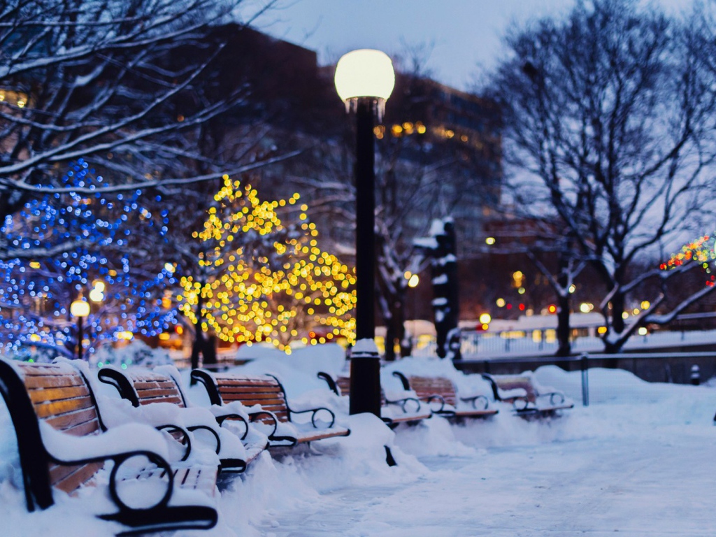 Зимний сквер в Оттаве, Канада