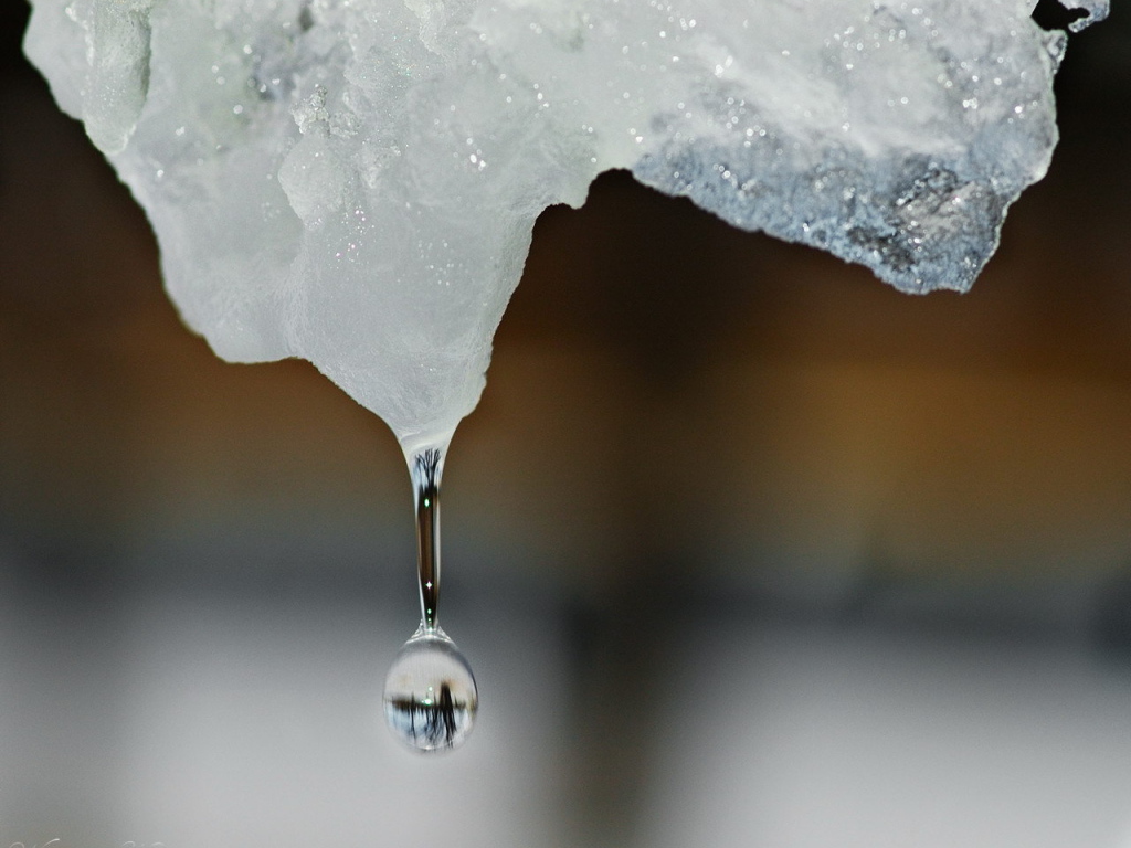 Капля воды падает с льдины