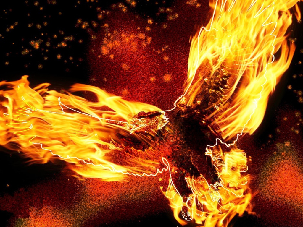 Птица орел в огне