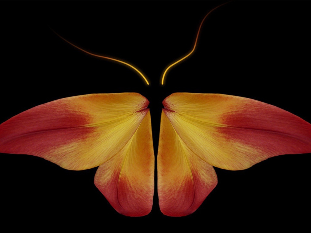 Бабочка из цветочных лепестков