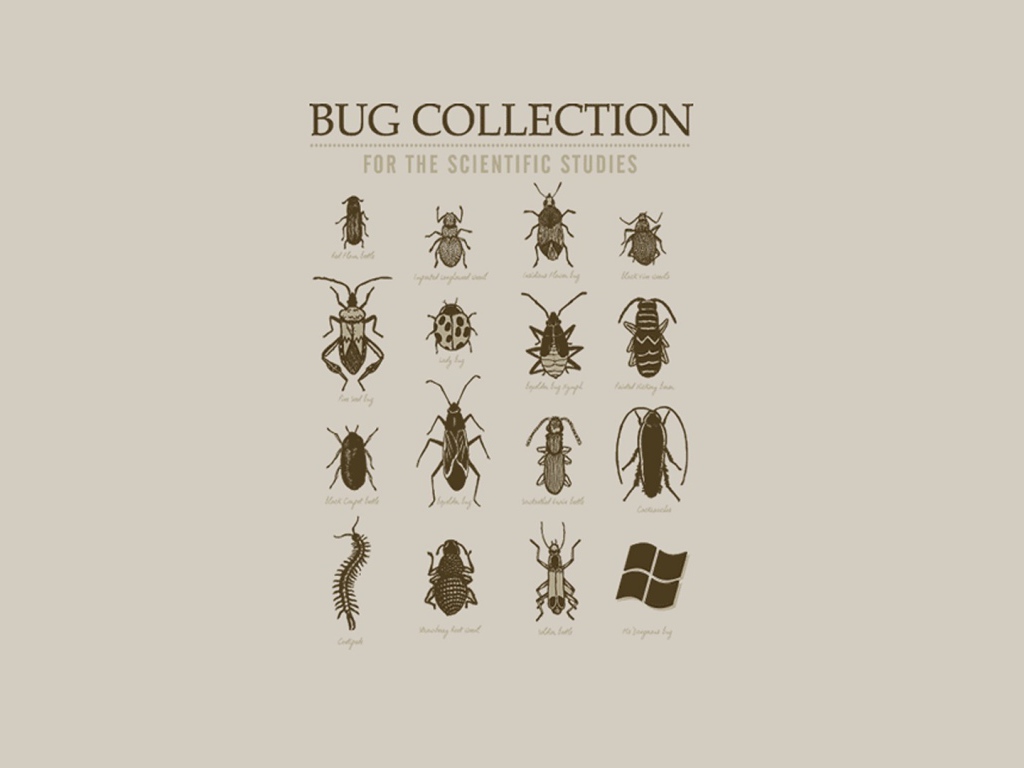 Коллекция неизвестных жуков