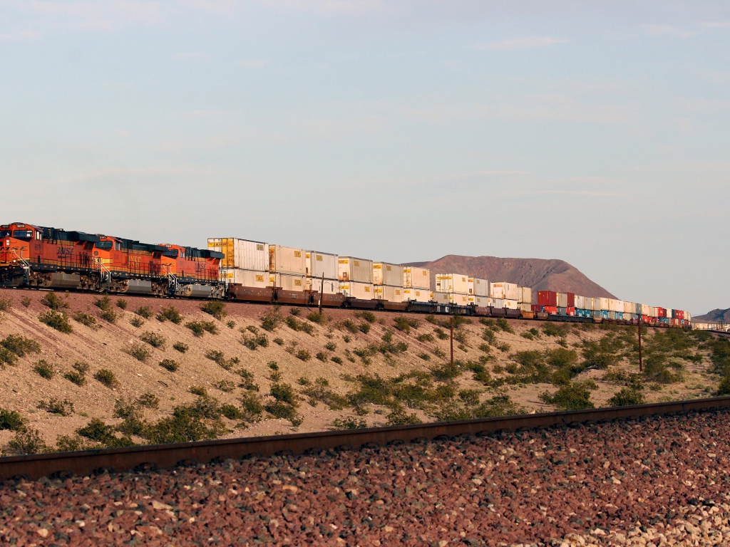 Грузовой поезд перевозит контейнеры