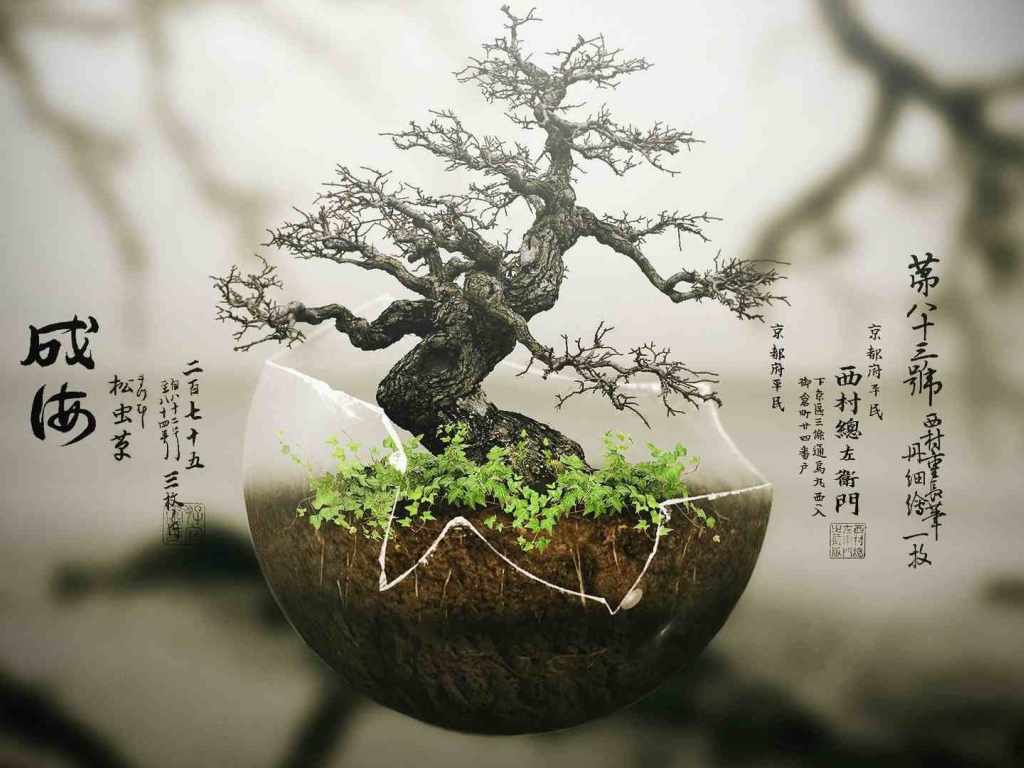 Японский бонсай в прозрачной скорлупе