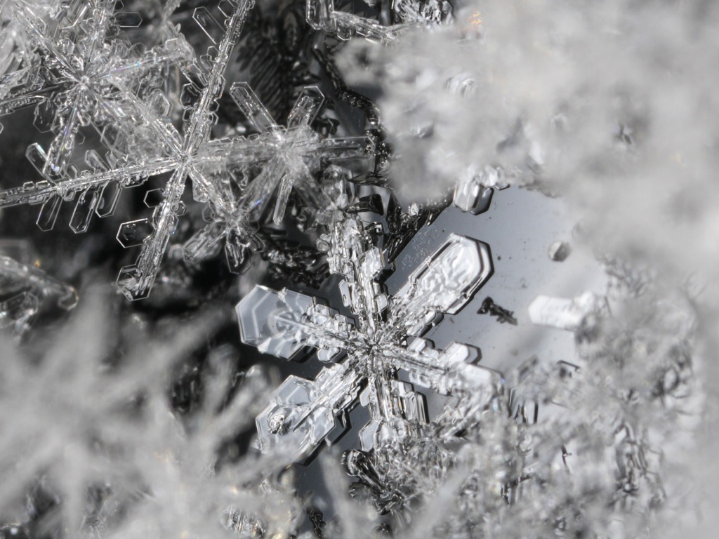 Макро фото снежинок