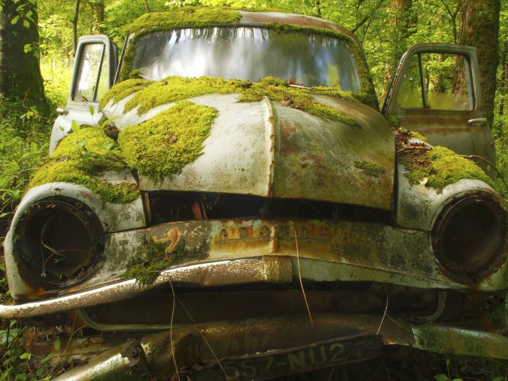 Покрытый мхом корпус автомобиля