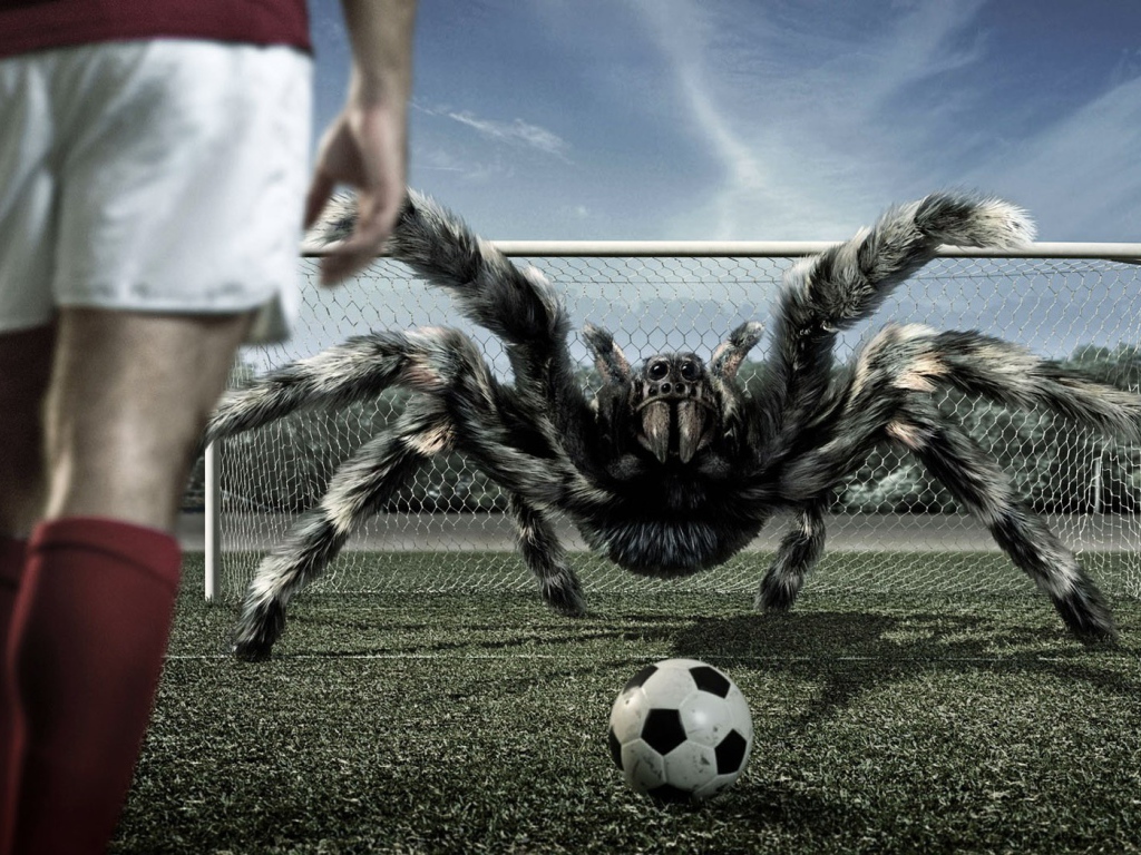 Игра в футбол с арахнидом