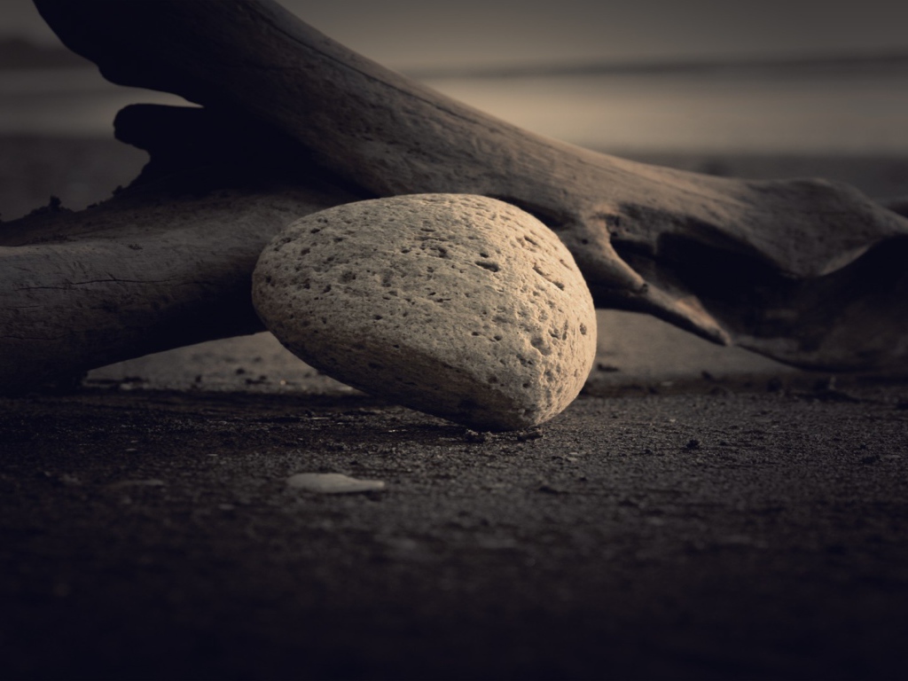 Пористый камень у сухой ветки