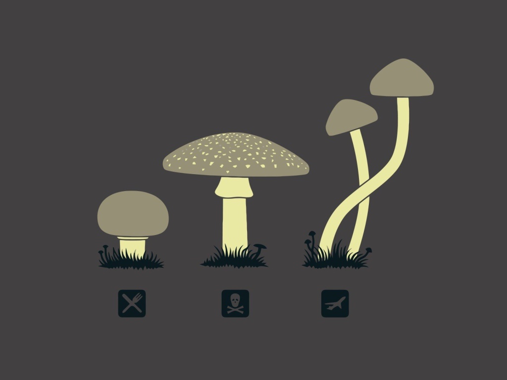 Предназначение разных грибов