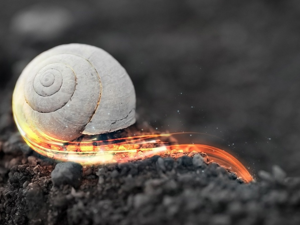 Стремительная огненная улитка