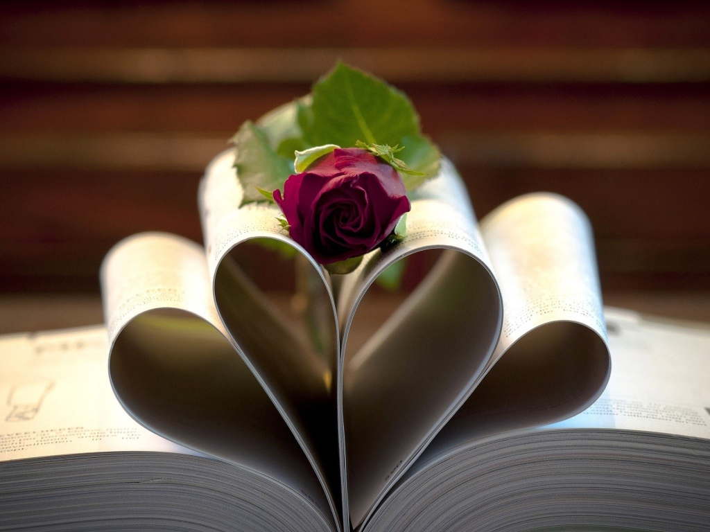 Роза на свернутых листах книги