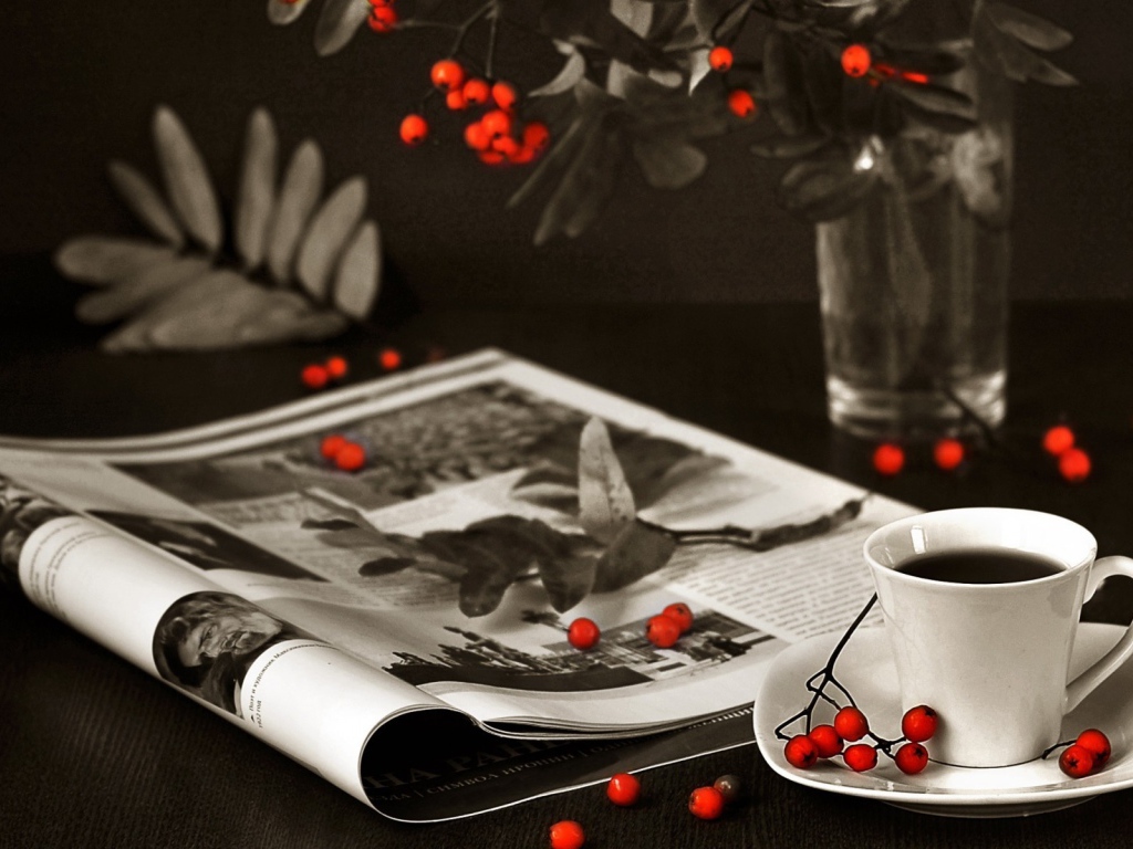 Ягоды рябины на столе и журнале