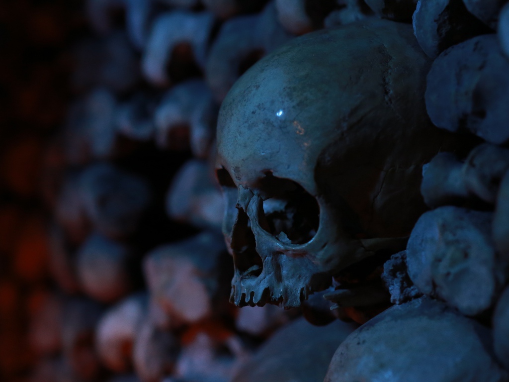 Череп среди костей в склепе