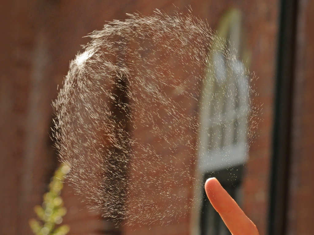 Мыльный пузырь проткнут пальцем