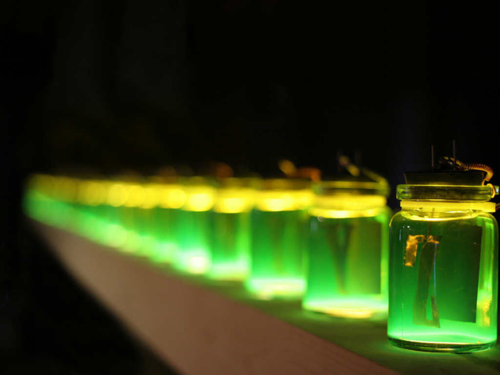 Ряд баночек 