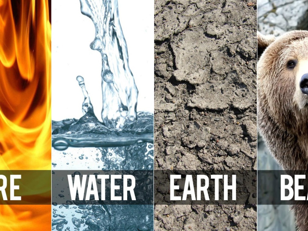Три стихии и медведь