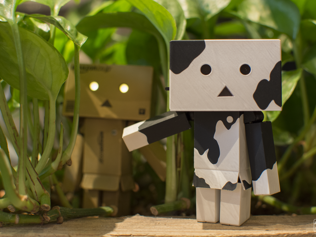 Два Дандо под листьями