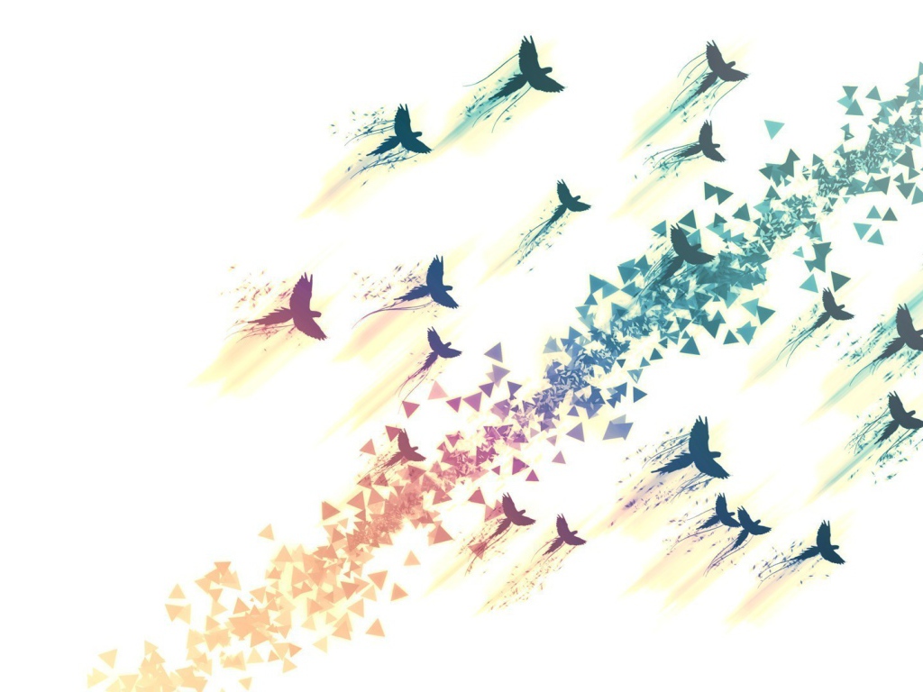 Нарисованные птицы на белом фоне