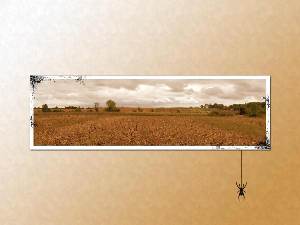 Паук на картине