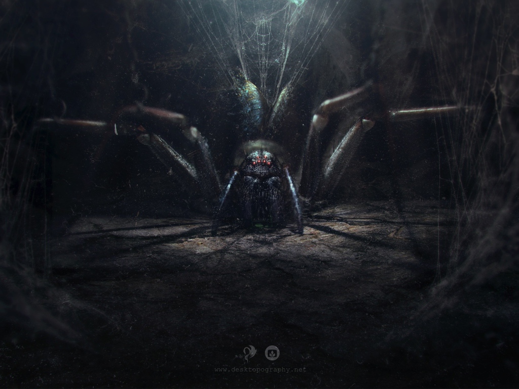 Огромный паук в своем логове