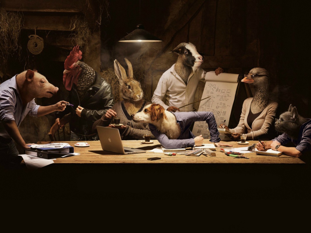 Животные на совещании