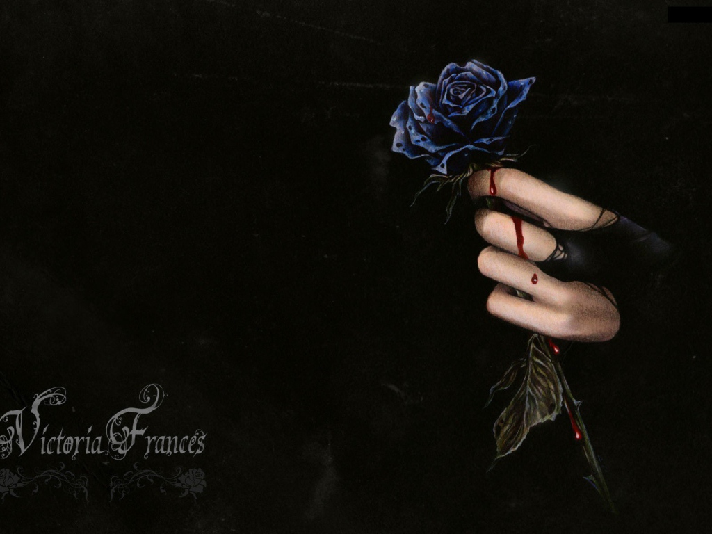 Капли крови на розе и руке