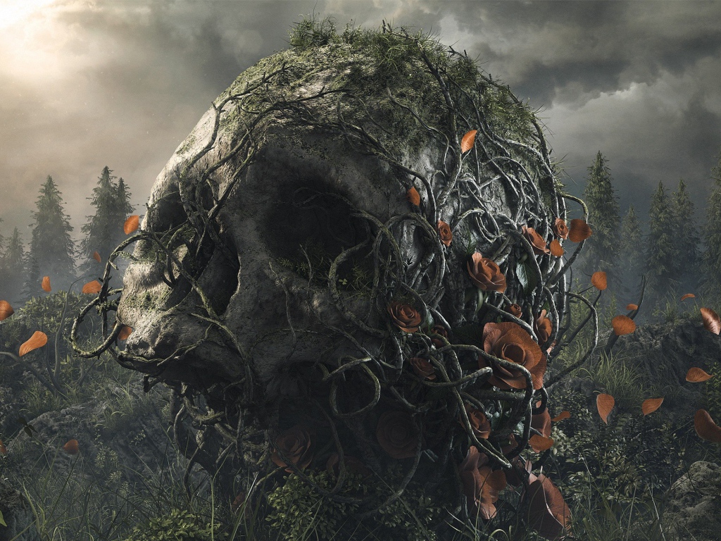 Поросший лианами большой череп