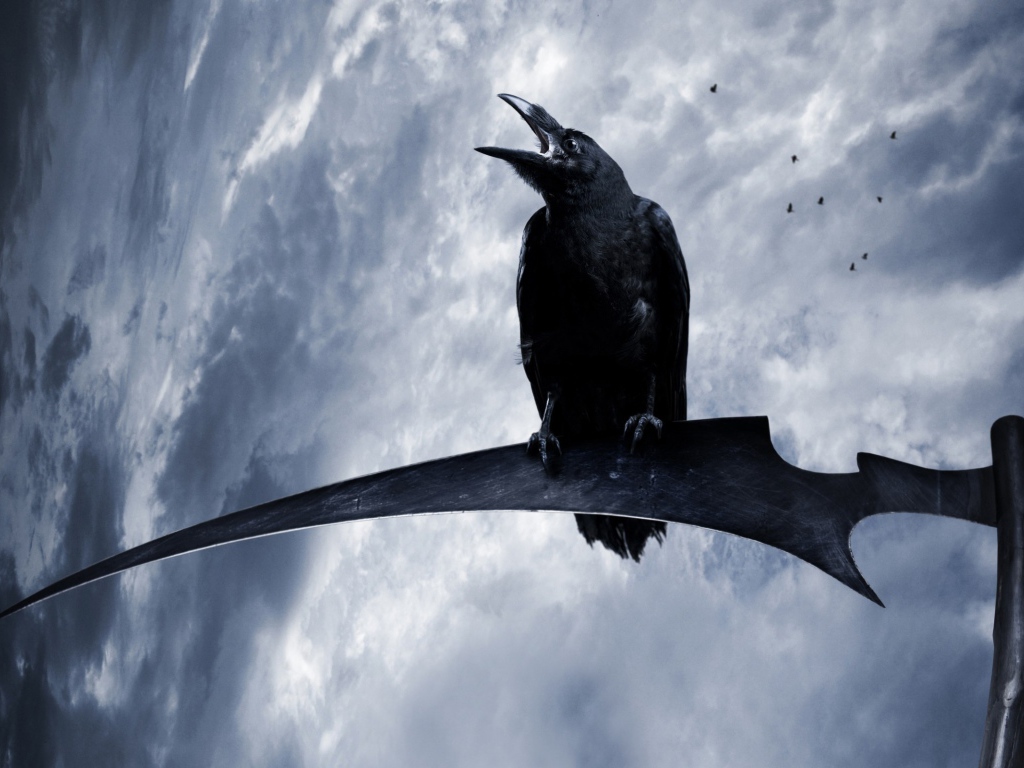 Ворон на косе