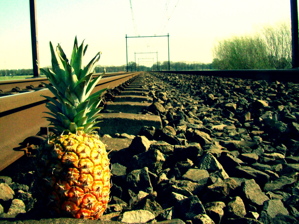 Ананас у рельса
