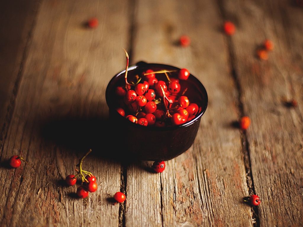 Ягоды рябины в черной пиале