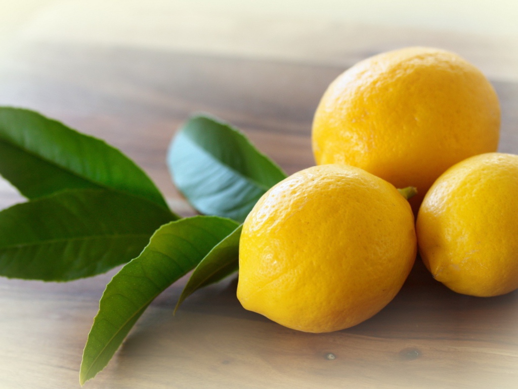 Три лимона с веточкой дерева