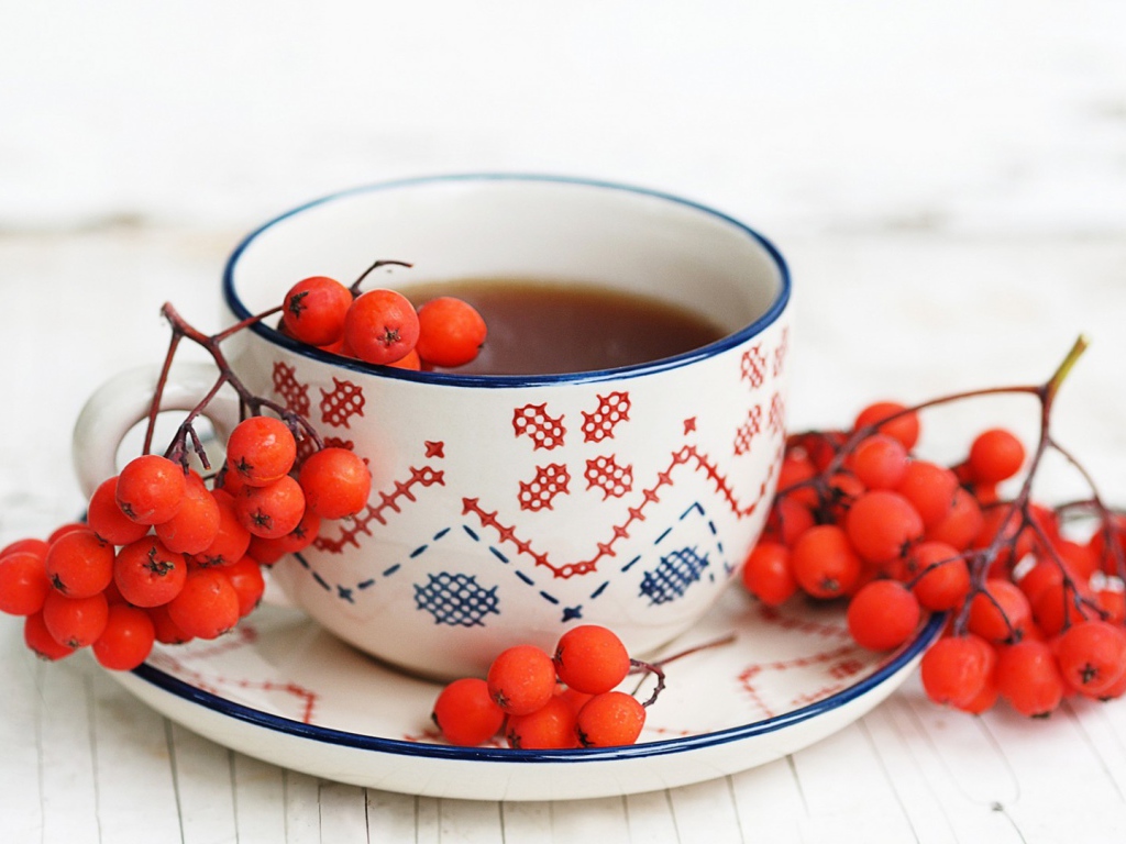 Согревающий отвар рябины