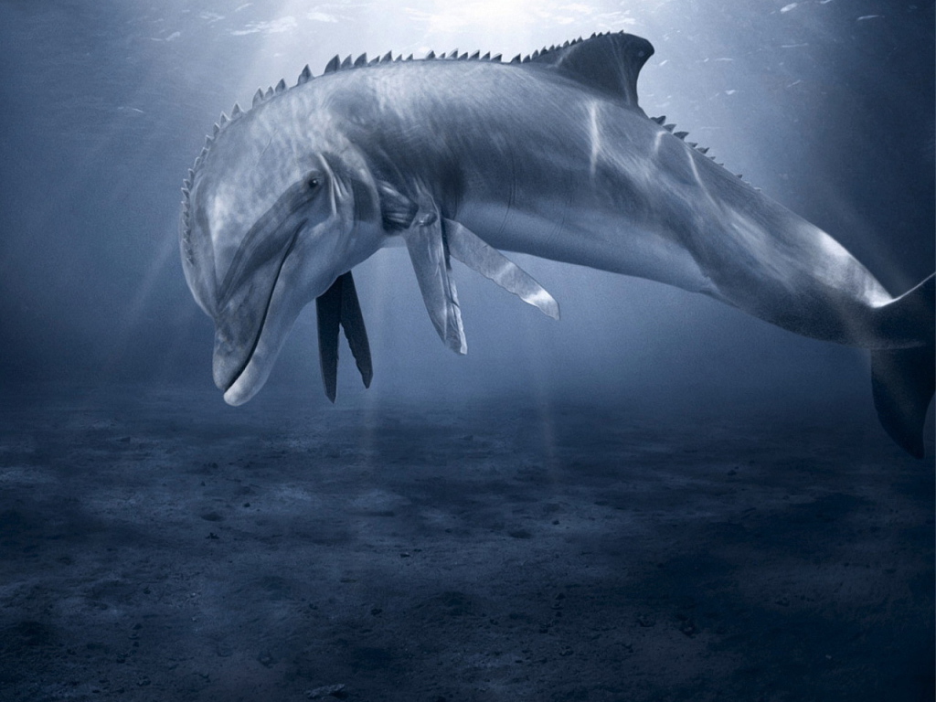 Дельфин с ножницами