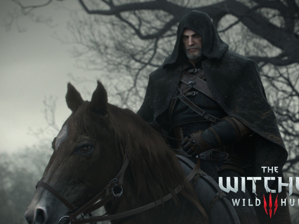 Черный всадник в игре The Witcher 3 Wild Hunt