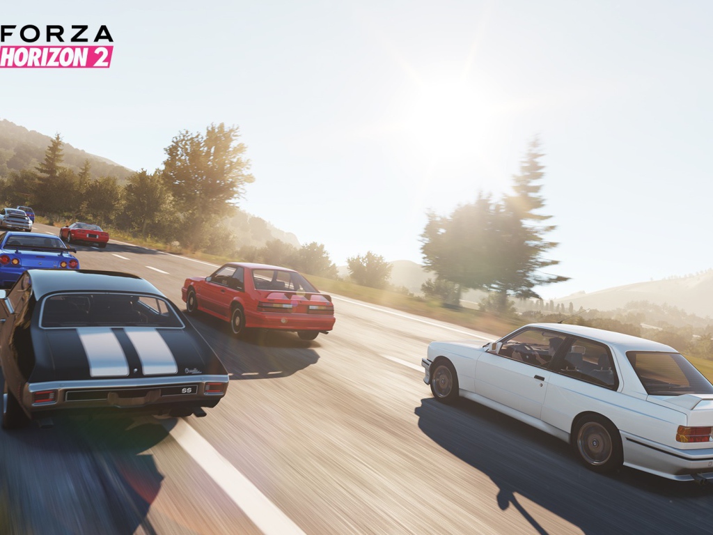 Компьютерная игра Forza Horizon 2