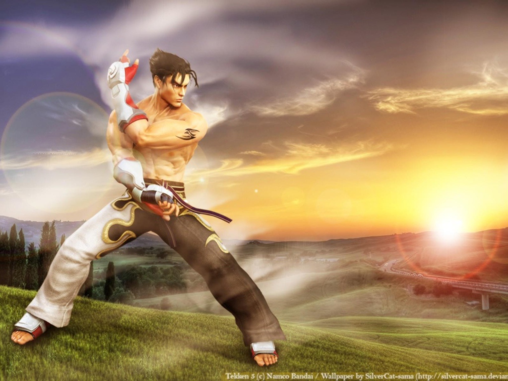 Джин Казама из игры Tekken