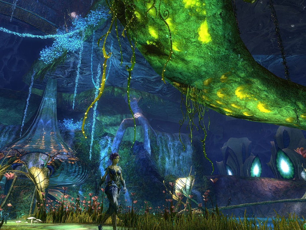 Мир игры Guild Wars