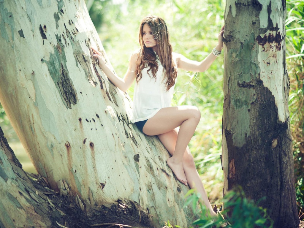 Девушка сидит на дереве