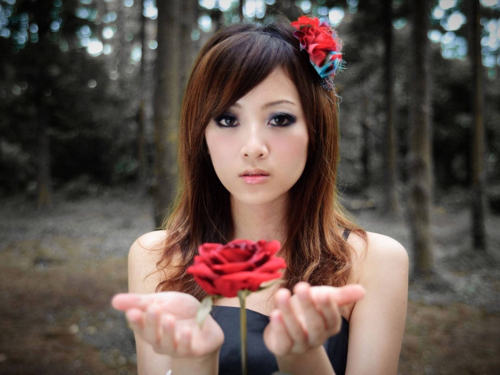 Роза парит в руках у девушки