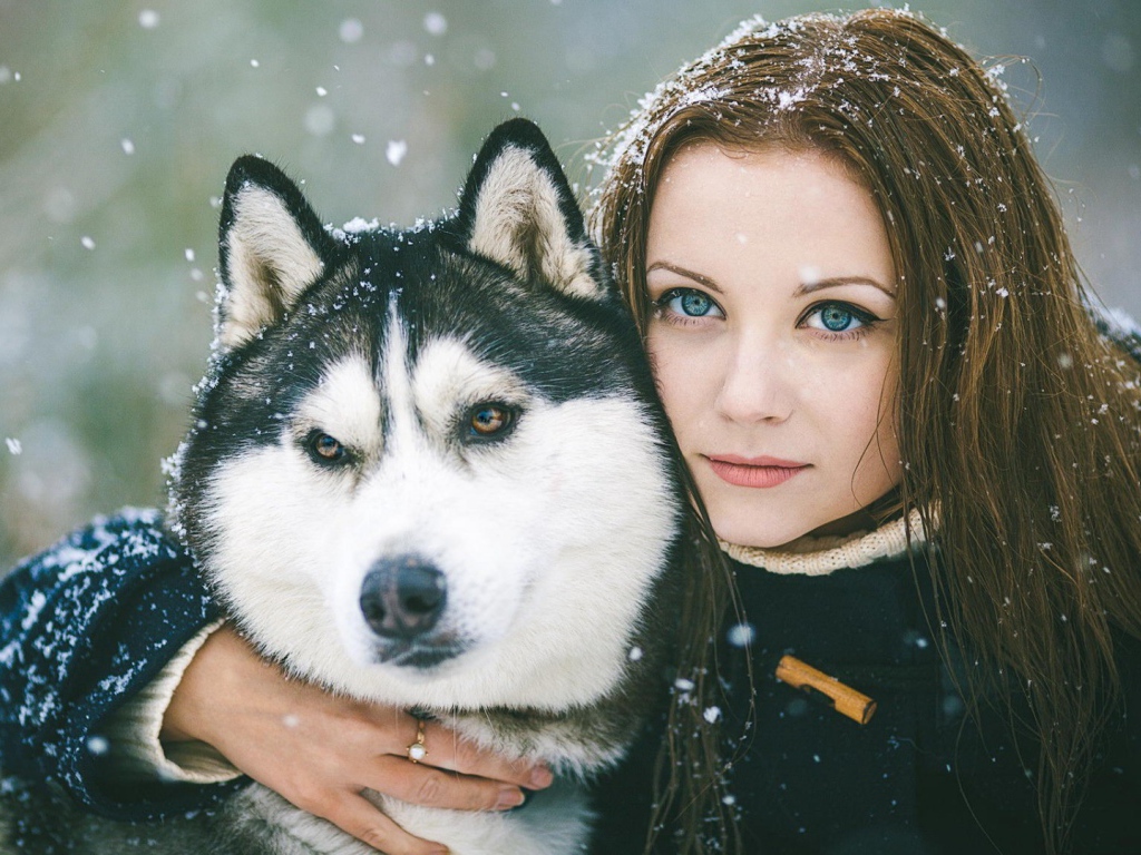 Девушка обняла собаку хаски