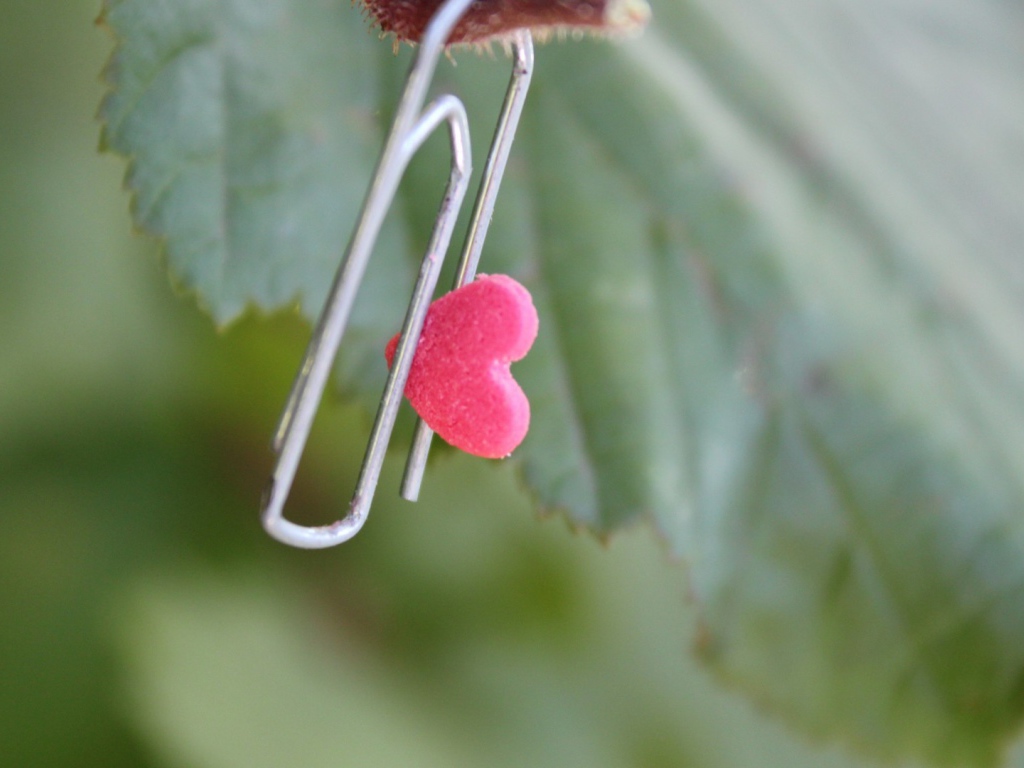 Скрепка с сердцем на зеленом листике