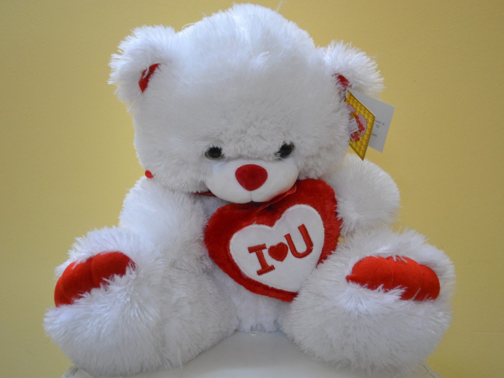 Белый медвежонок с признанием в любви