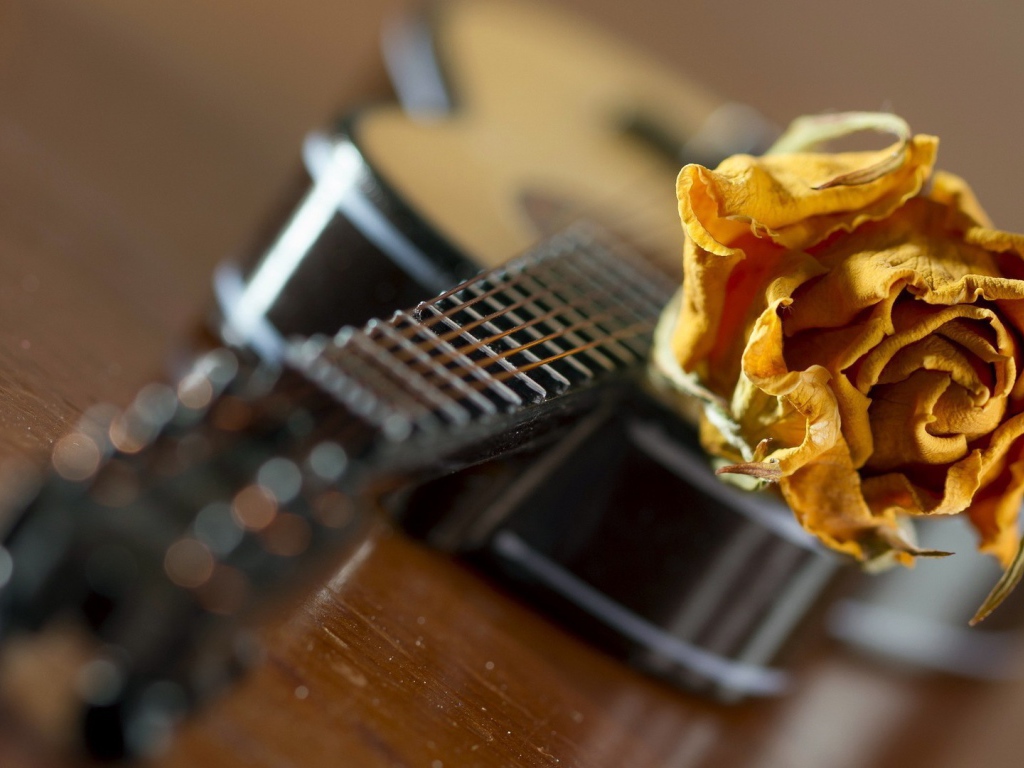 Желтая роза на гитаре
